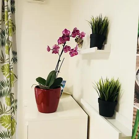Modern And Beauty Riverside Terrace Privat Parking Appartement *